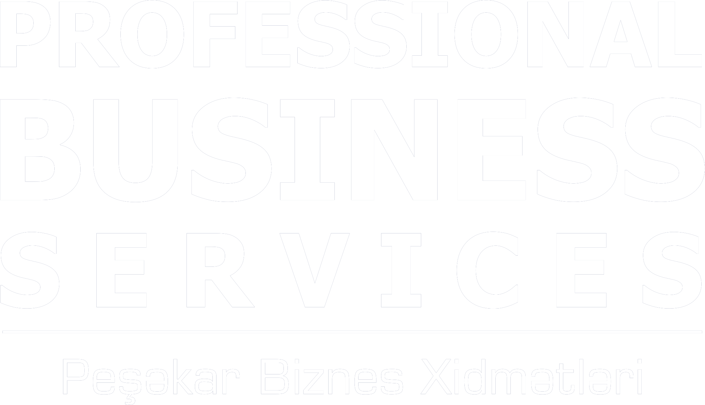 Professional Business Services